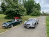 MGA_010