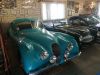 MGA_022