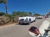 MGA_041
