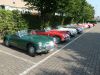 MGA_100