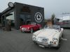 MGA_005