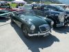 MGA_019