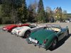 MGA_017