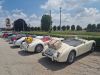 MGA_011