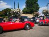 MGA_033