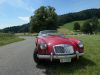 MGA_008