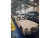 MGA_016